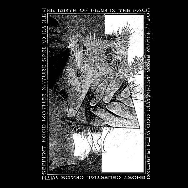 Rohit - WANT
