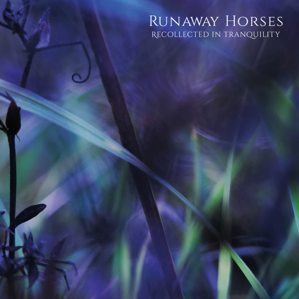 Runaway Horses - Optimistic decision