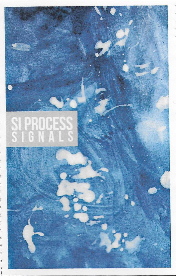 SI Process - Protea