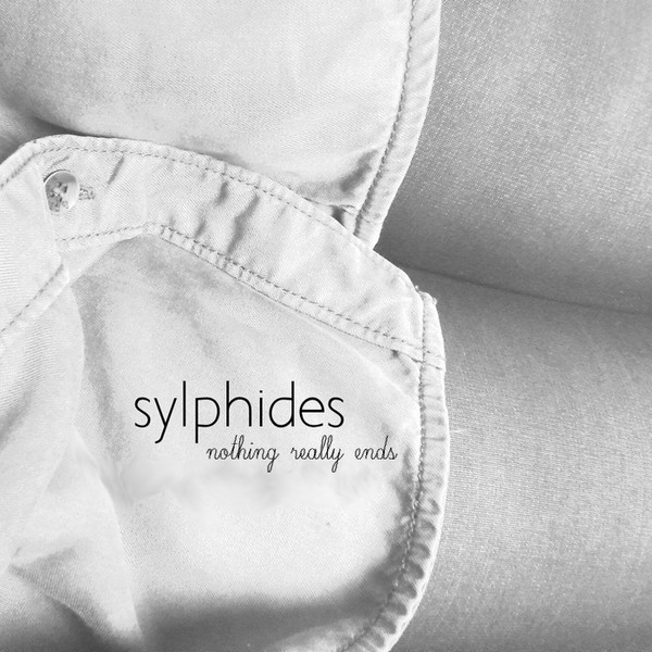 SYLPHIDES - Centaurea dealbata