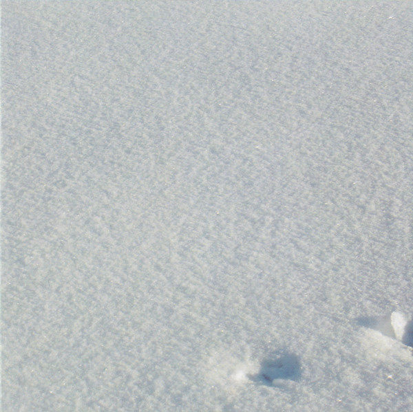 Sabine Vogel - snowtide