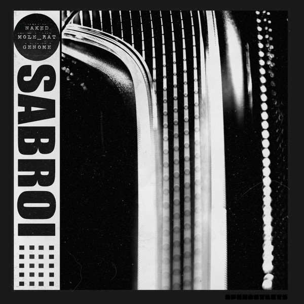 Sabroi - Popcoin