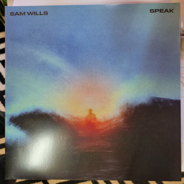 Sam Wills - Traingazing