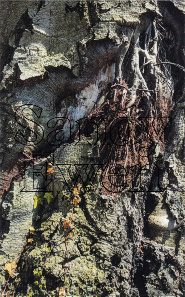 Sandy Ewen - Scratch Overture