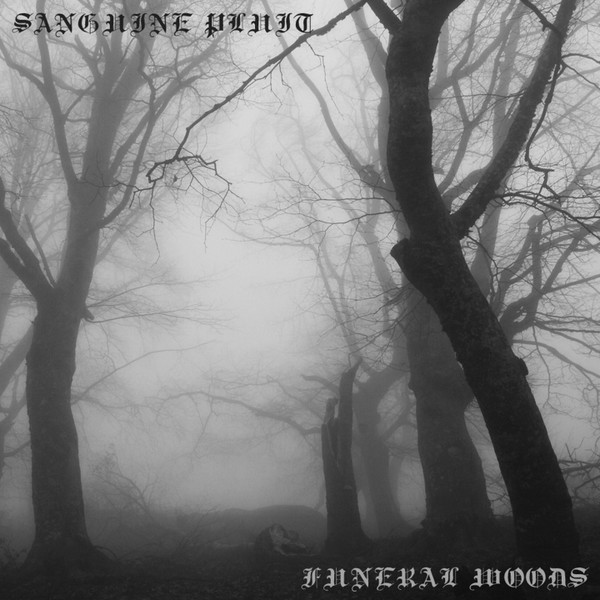 Sanguine Pluit - Nature Rising