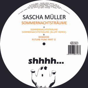 Sascha Muller - Traumschwingungen (original mix)