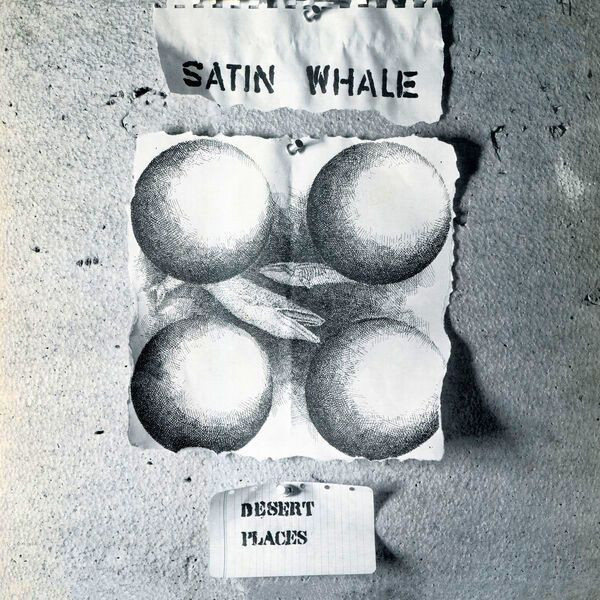 Satin Whale - Desert Places