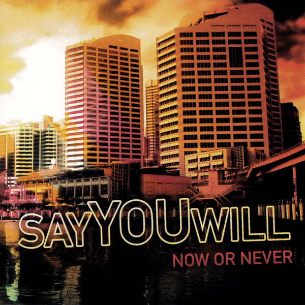 Say You Will - Believing