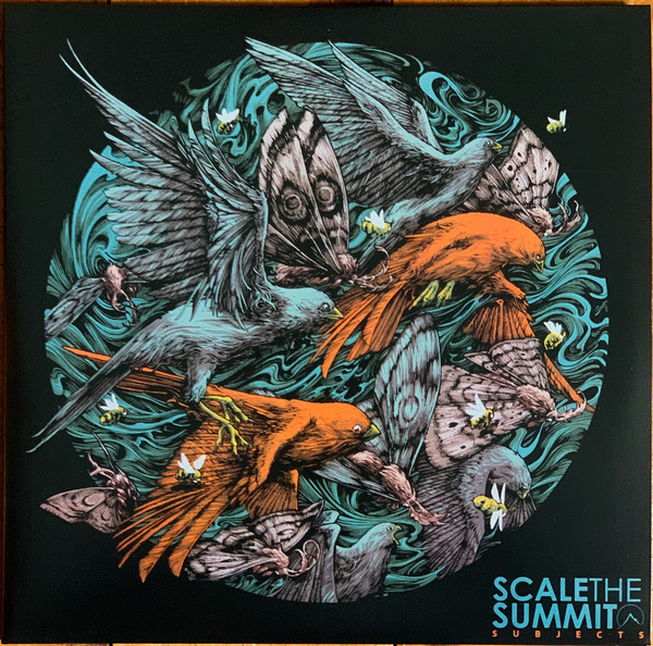 Scale the Summit - The Levitated