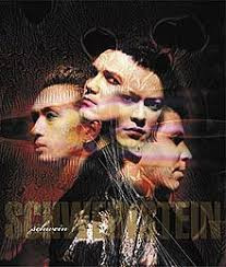 Schwein - You're My Disease