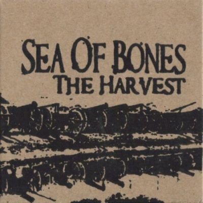 Sea of Bones - Black Arm