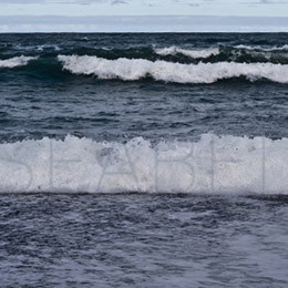 SeaBed - The Sea Bed