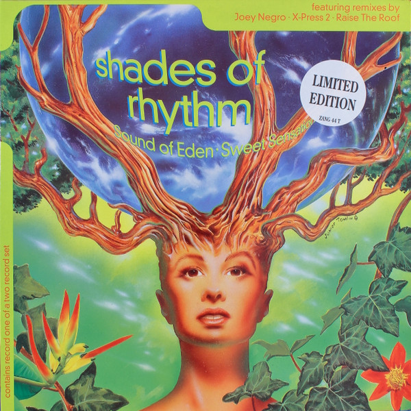 Shades Of Rhythm - Extacy
