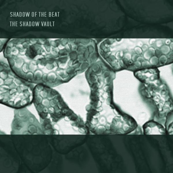 Shadow of the Beat - Penrose Rabbit Hole
