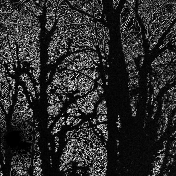 Shadowcast Sun - Double Flow