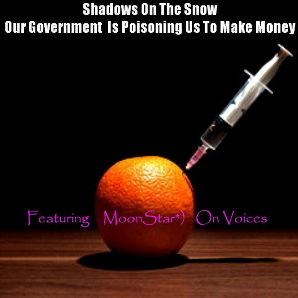 Shadows on the Snow - The Changing Of The Seasons