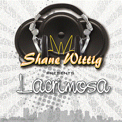 Shane Wittig - Raver's Dream