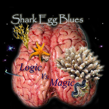 Shark Egg Blues - Coil Bonus with Birds