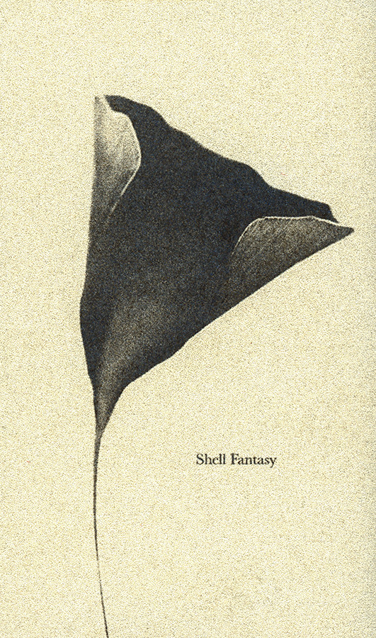 Shell Fantasy - Reprise
