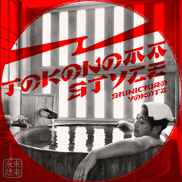 Shinichiro Yokota - Do It Again