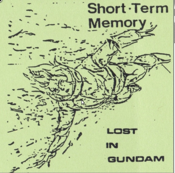 Short Term Memory - The Words