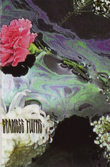 Siamese Twins - Wide Eyed