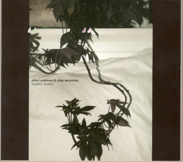 Sidsel Endresen & Stian Westerhus - Drawing An Arc