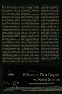 Silence in First Degree - Flying Backwards