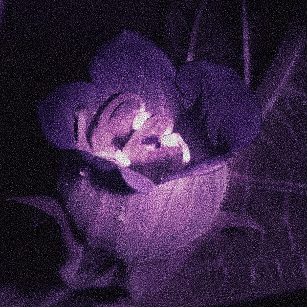 Silent Cicada - Yume Nikki
