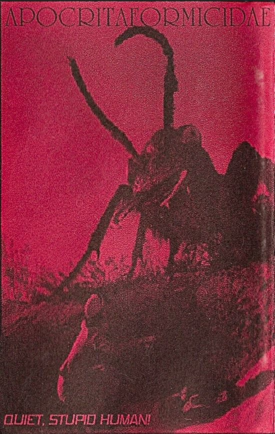 Siphonaptera - Siphonaptera