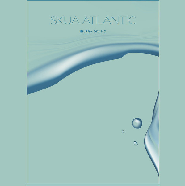 Skua Atlantic - City Lights