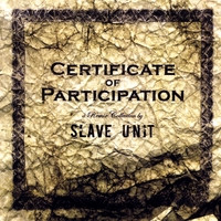 Slave Unit - Mold