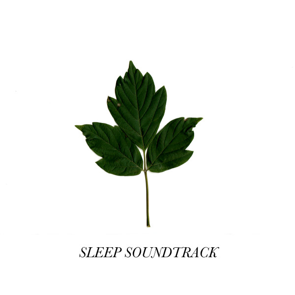 Sleep Soundtrack - The Woods