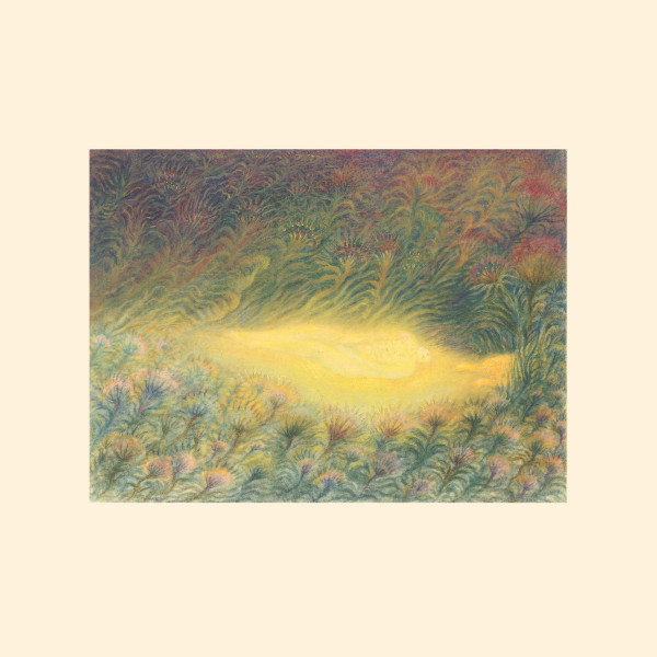 Sofie Birch & Antonina Nowacka - Morning Room I