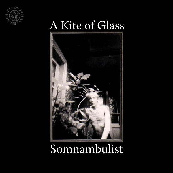 Somnambulist - Things I Was Due To Forget