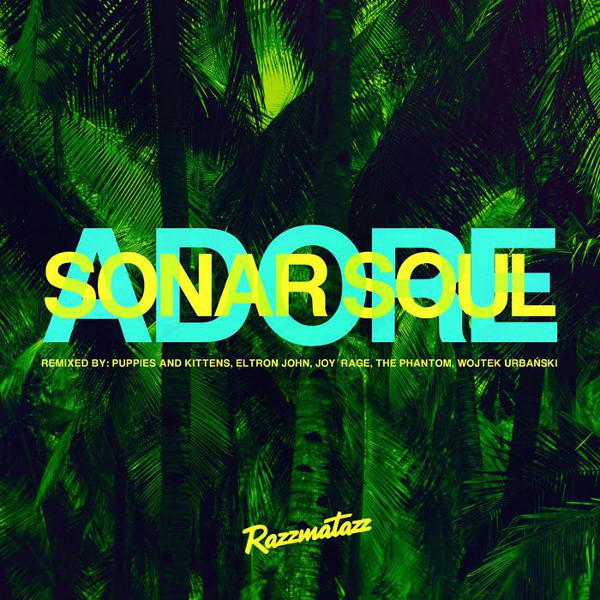 Sonar Soul - Drzwi