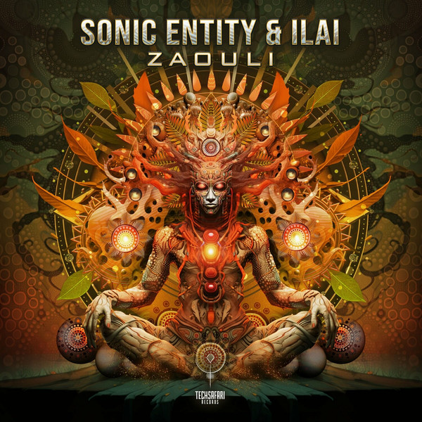 Sonic Entity & Ilai - DMT Perception ᴴᴰ