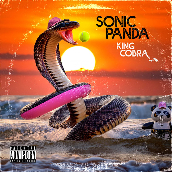 Sonic Panda - Silence Is in Vogue