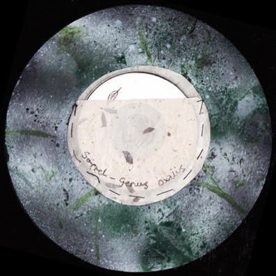 Sorrel - Call My Brother