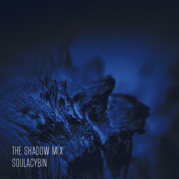 Soulacybin - Through Love