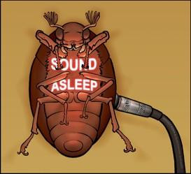 Sound Asleep - Intro