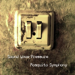 Sound Wave Pressure - Hypocrisy
