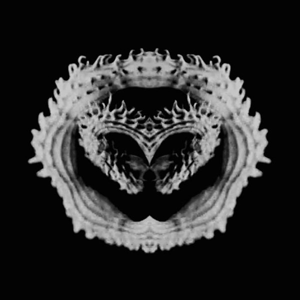 Spammerheads - Love Shall Prevail