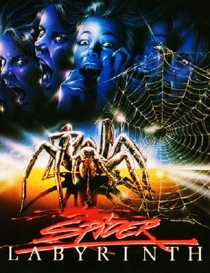Spider Labyrinth - Black Widow Killer