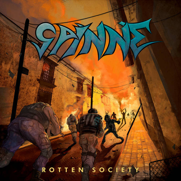 Spinne - Nachtleben