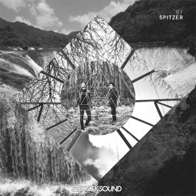 Spitzer - Avida Dollars