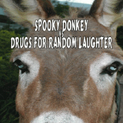 Spooky Donkey - Track One