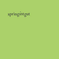 Springintgut - Day Off