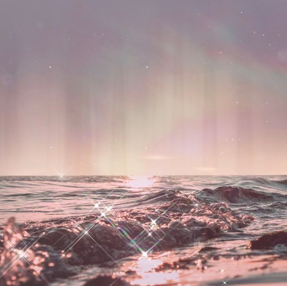 Stardust Dreams - Moonflower
