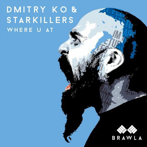 Starkillers & Dmitry Ko - Do U Love - Original Mix